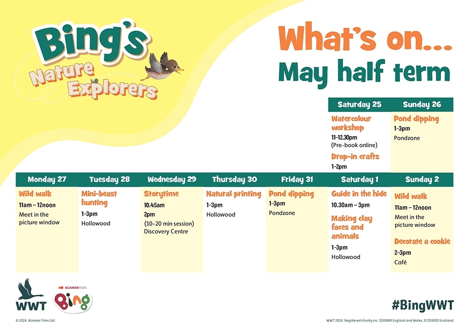 Bing may half term calendar.jpg